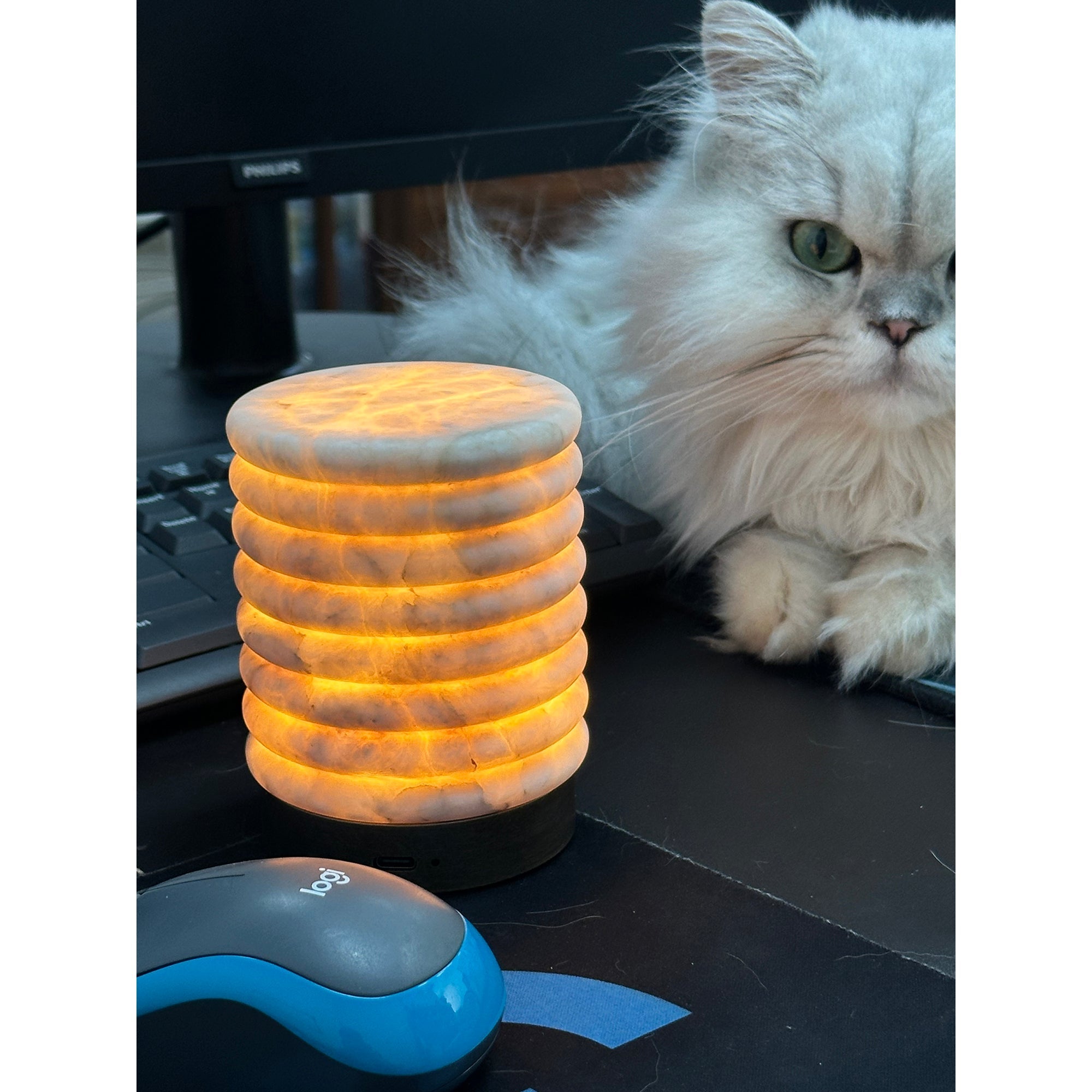 Nereid Table Lamp