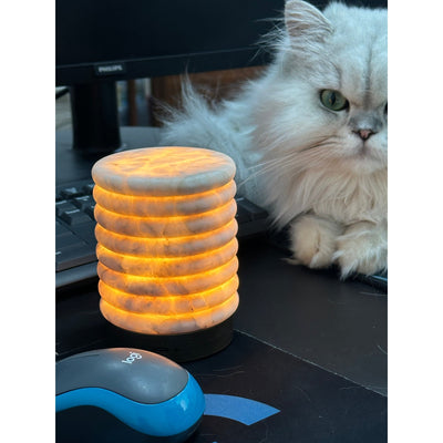 Nereid Table Lamp