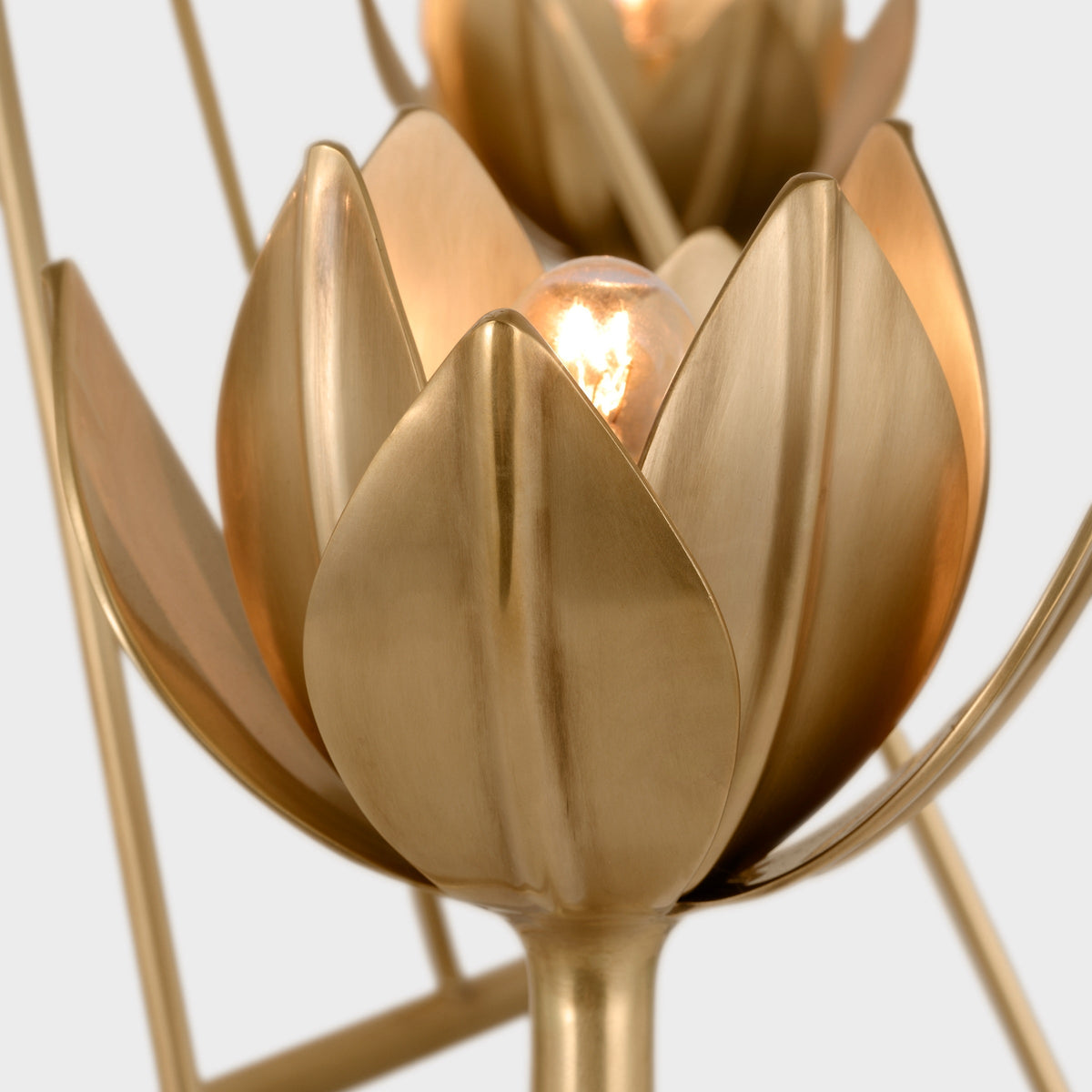 Alberto Modern Minimalist Floral Brass Chandelier