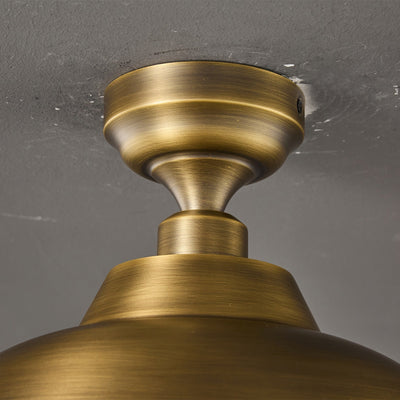 Aveneraine Ceiling Lamp
