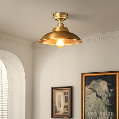 Aveneraine Ceiling Lamp