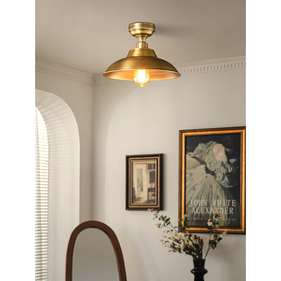 Aveneraine Ceiling Lamp