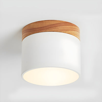 Caveleth Modern Minimalist Wooden Surface Downlight