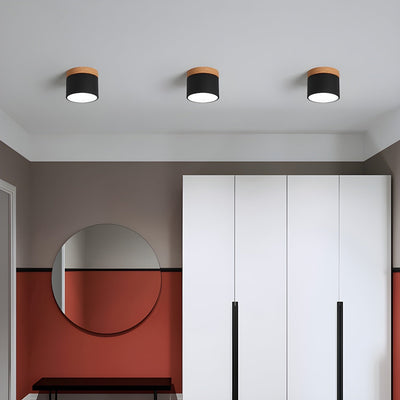 Caveleth Modern Minimalist Wooden Surface Downlight