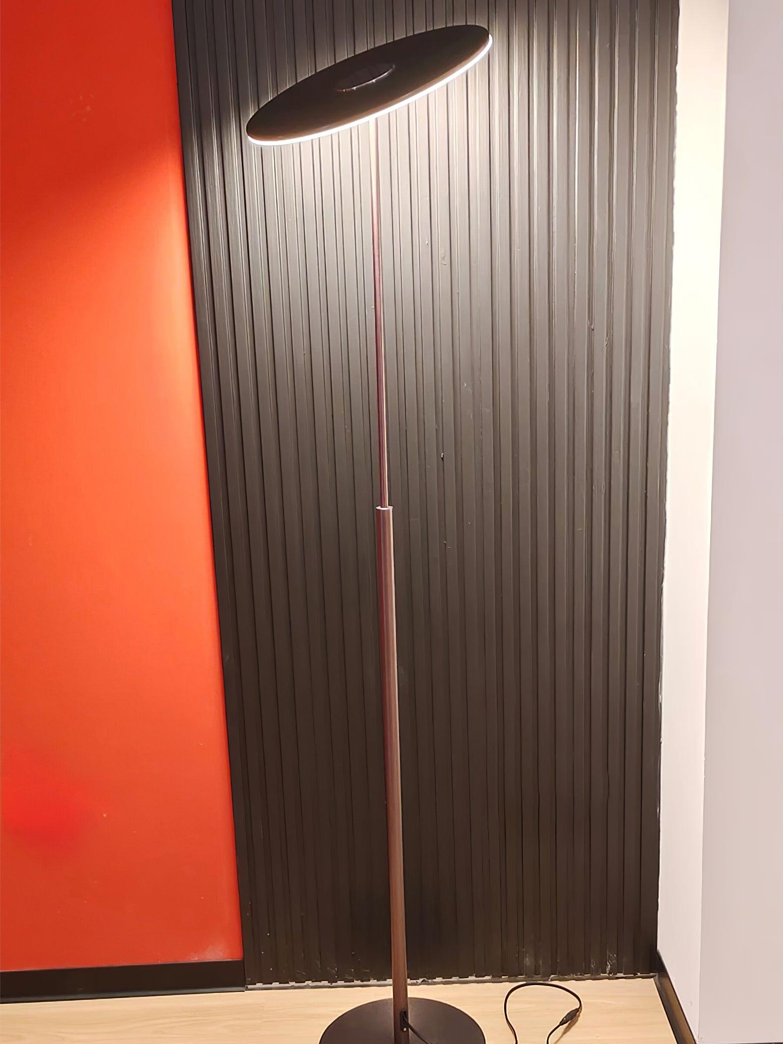 Evynora Minimalist Floor Lamp