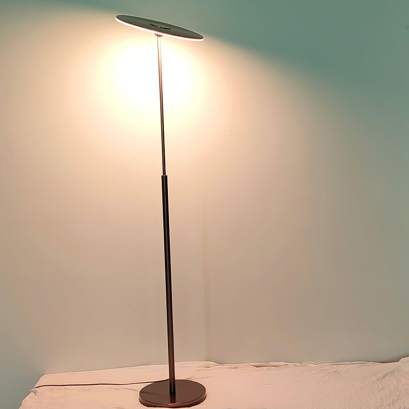 Evynora Minimalist Floor Lamp