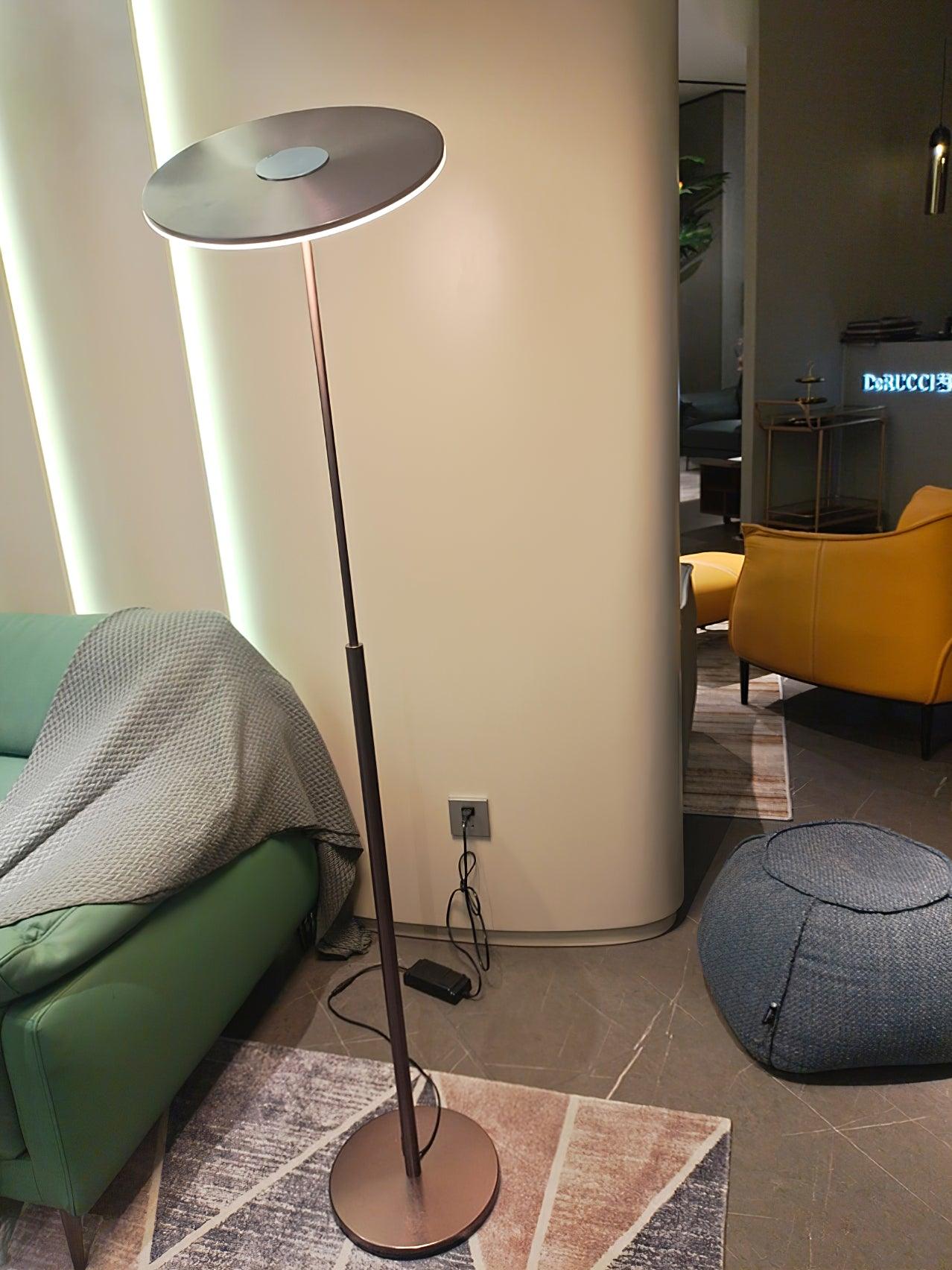 Evynora Minimalist Floor Lamp