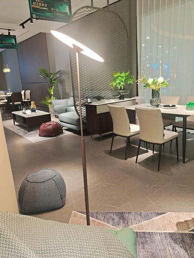 Evynora Minimalist Floor Lamp