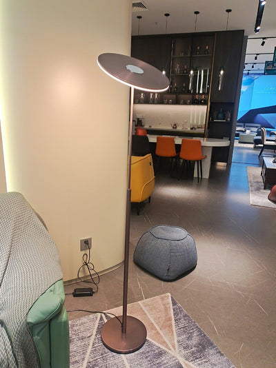 Evynora Minimalist Floor Lamp