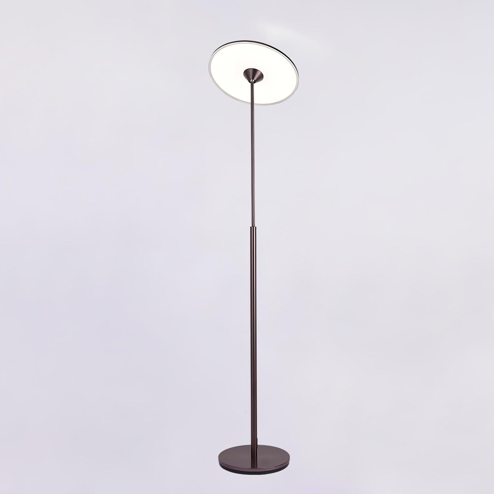 Evynora Minimalist Floor Lamp