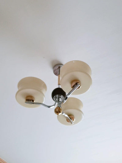 Lioralelle Elegant Glass Chandelier