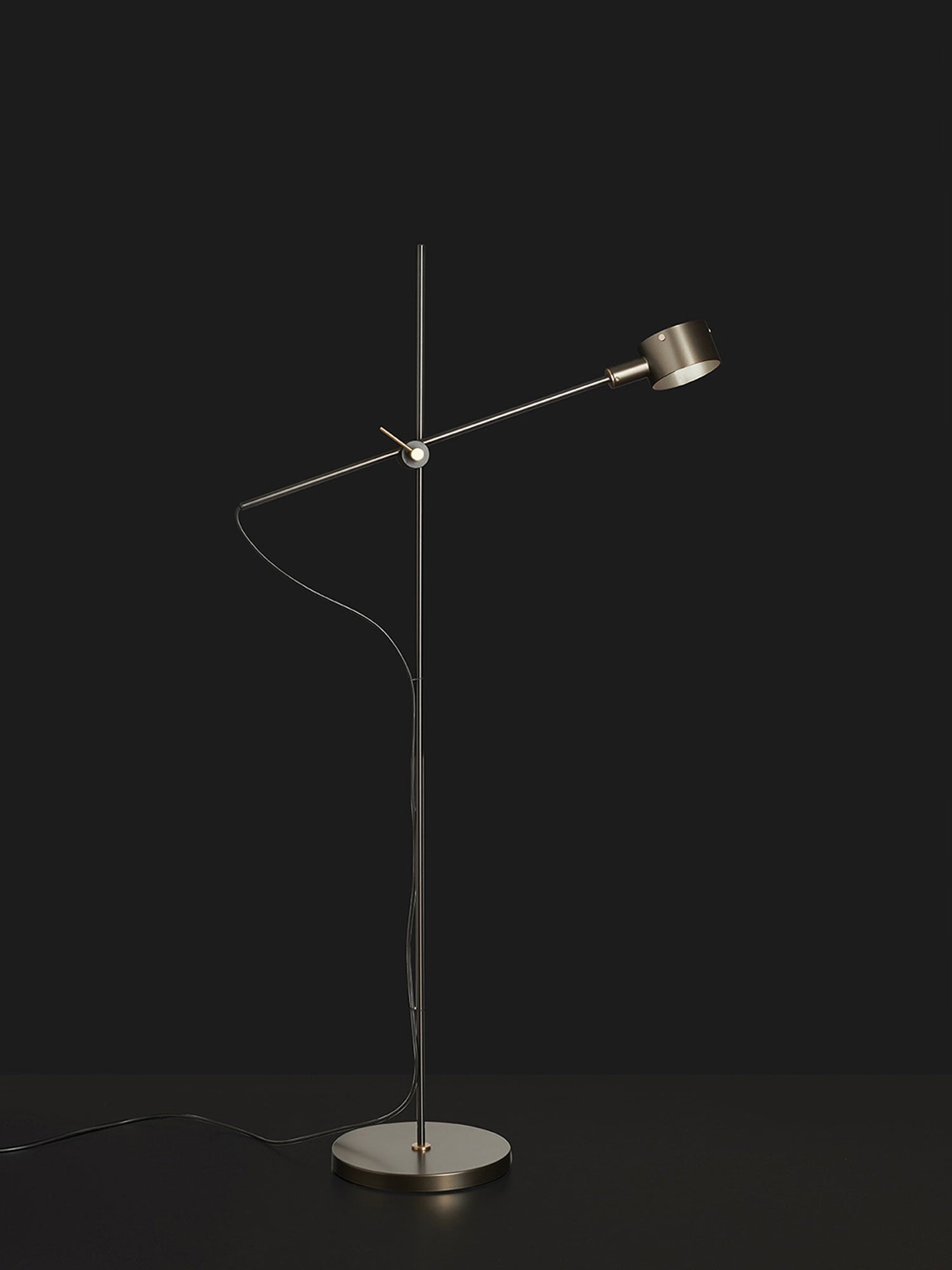 Arclen Adjustable Arm Floor Lamp