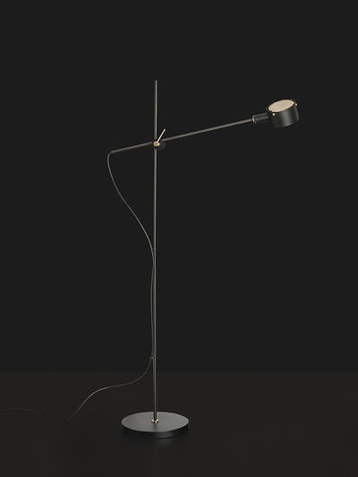 Arclen Adjustable Arm Floor Lamp