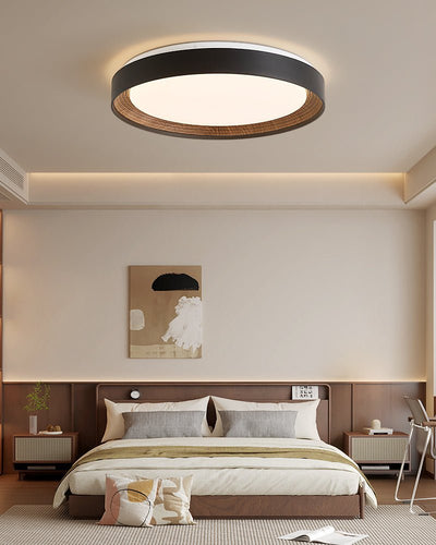 Lucien Acrylic Ceiling Light