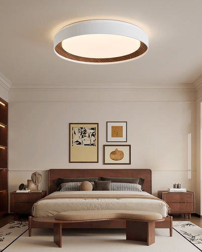 Lucien Acrylic Ceiling Light