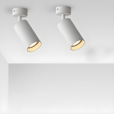 Vosilel Modern Minimalist Spotlight Ceiling lamp