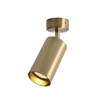 Vosilel Modern Minimalist Spotlight Ceiling lamp