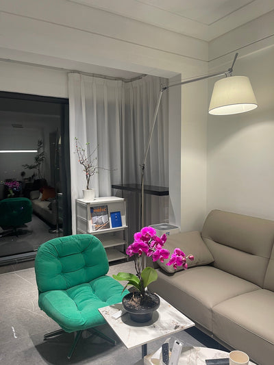 Orelinelia Floor Lamp