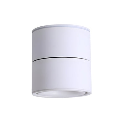 Drashen Modern Minimalist Surface Downlight Ceiling lamp