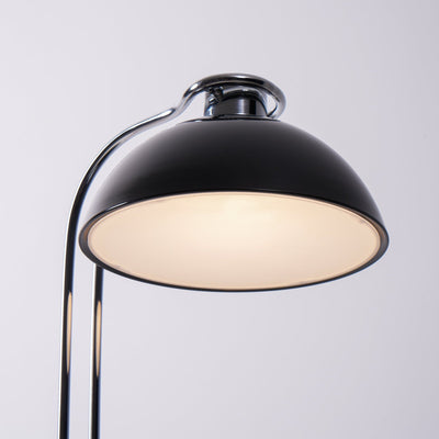 Lucanella Contemporary Acrylic Table lamp