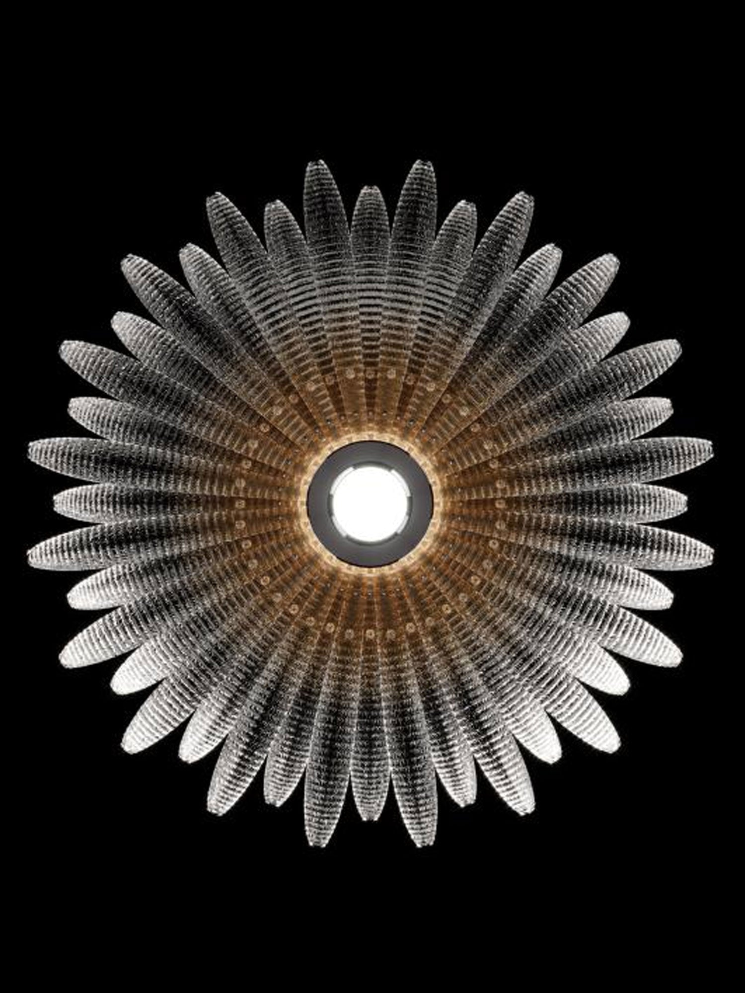 Ignatius Glass Petal Ceiling Light