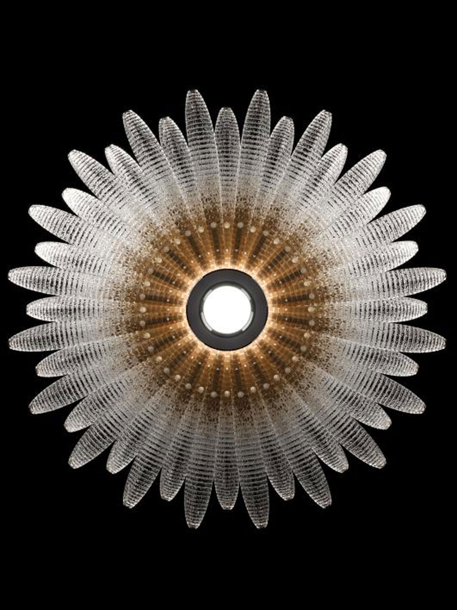 Valerio Aurelia Glass Petal Chandelier