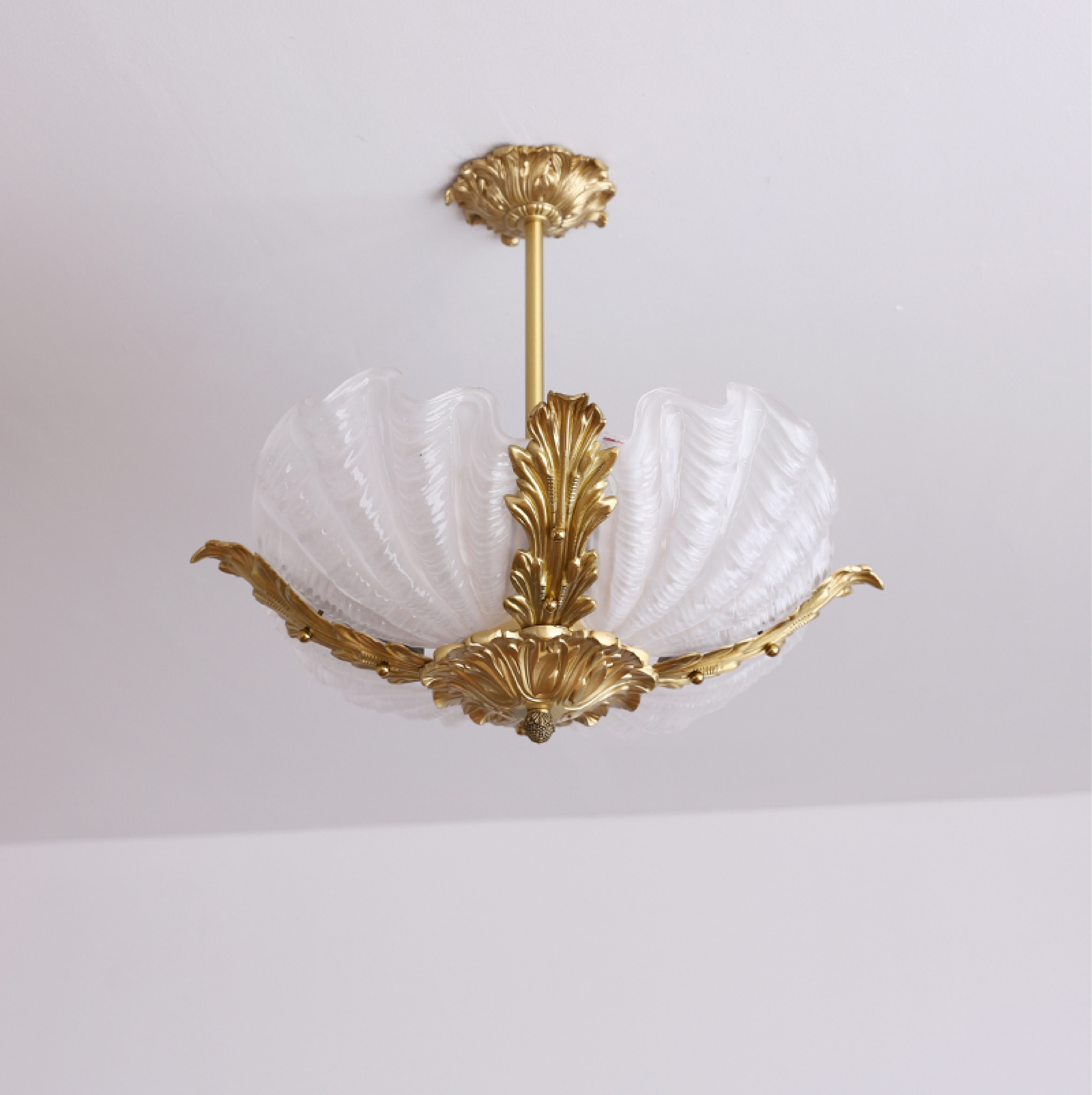 Nacisian Shell Chandelier