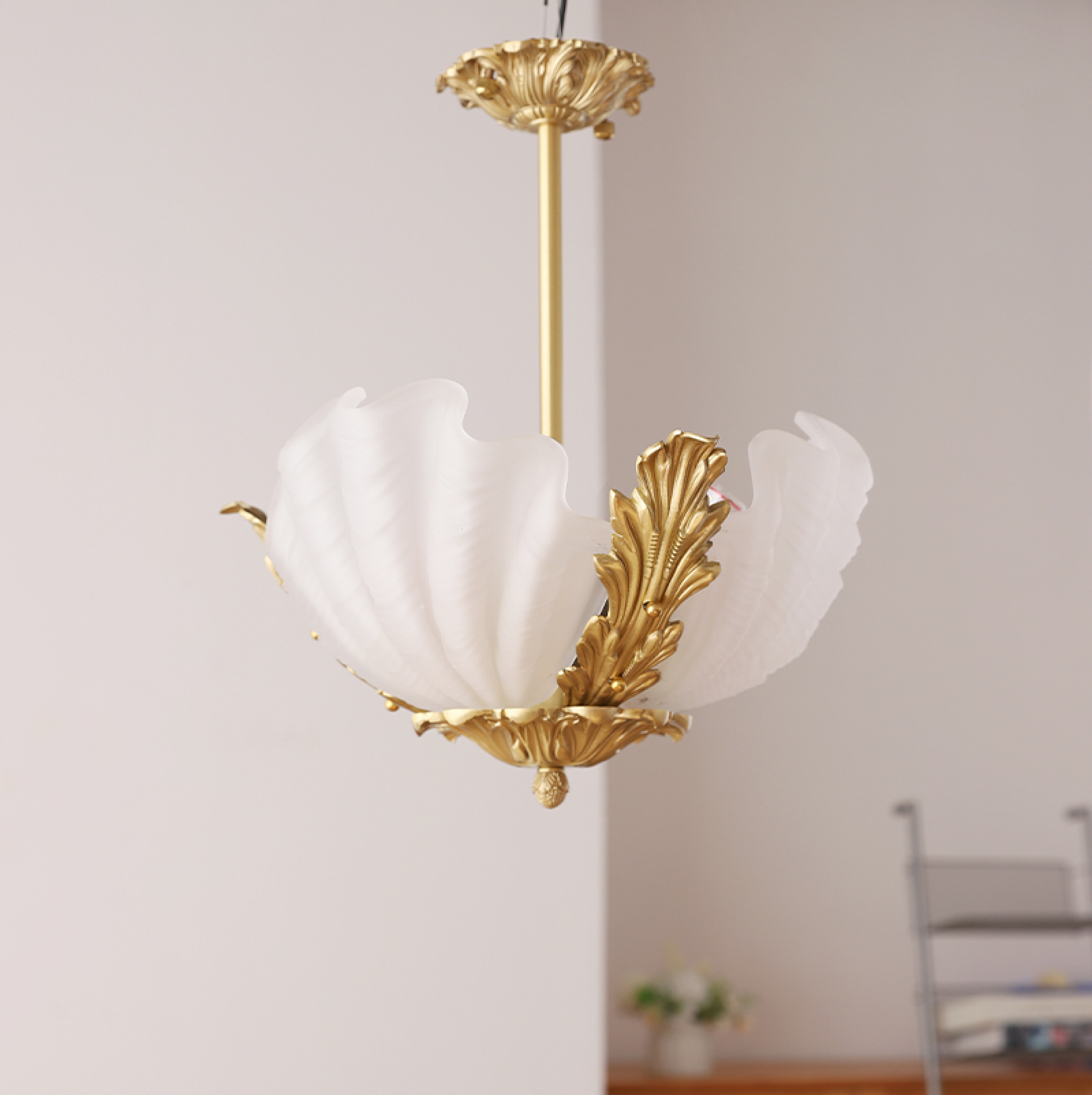 Nacisian Shell Chandelier