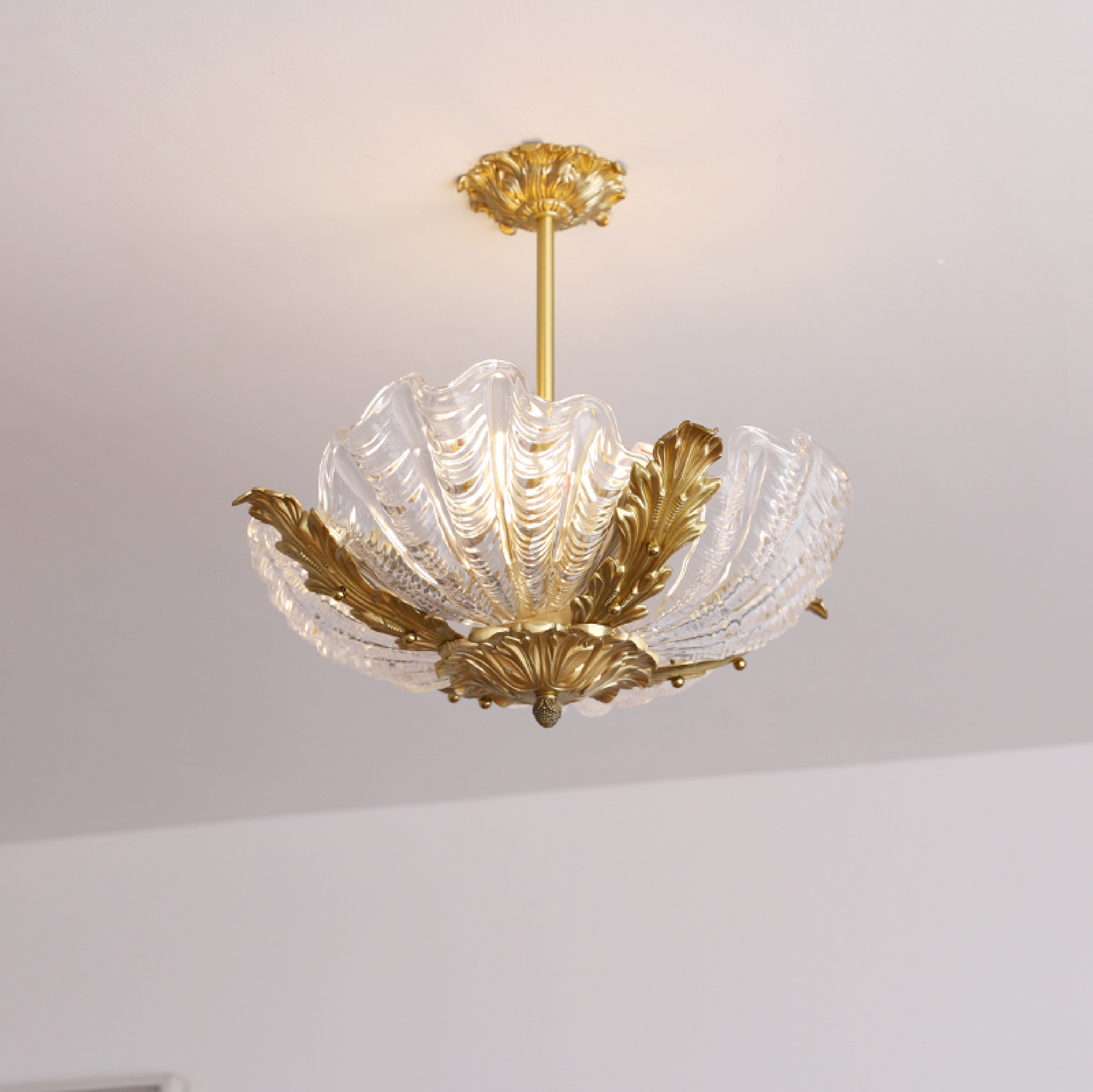 Nacisian Shell Chandelier