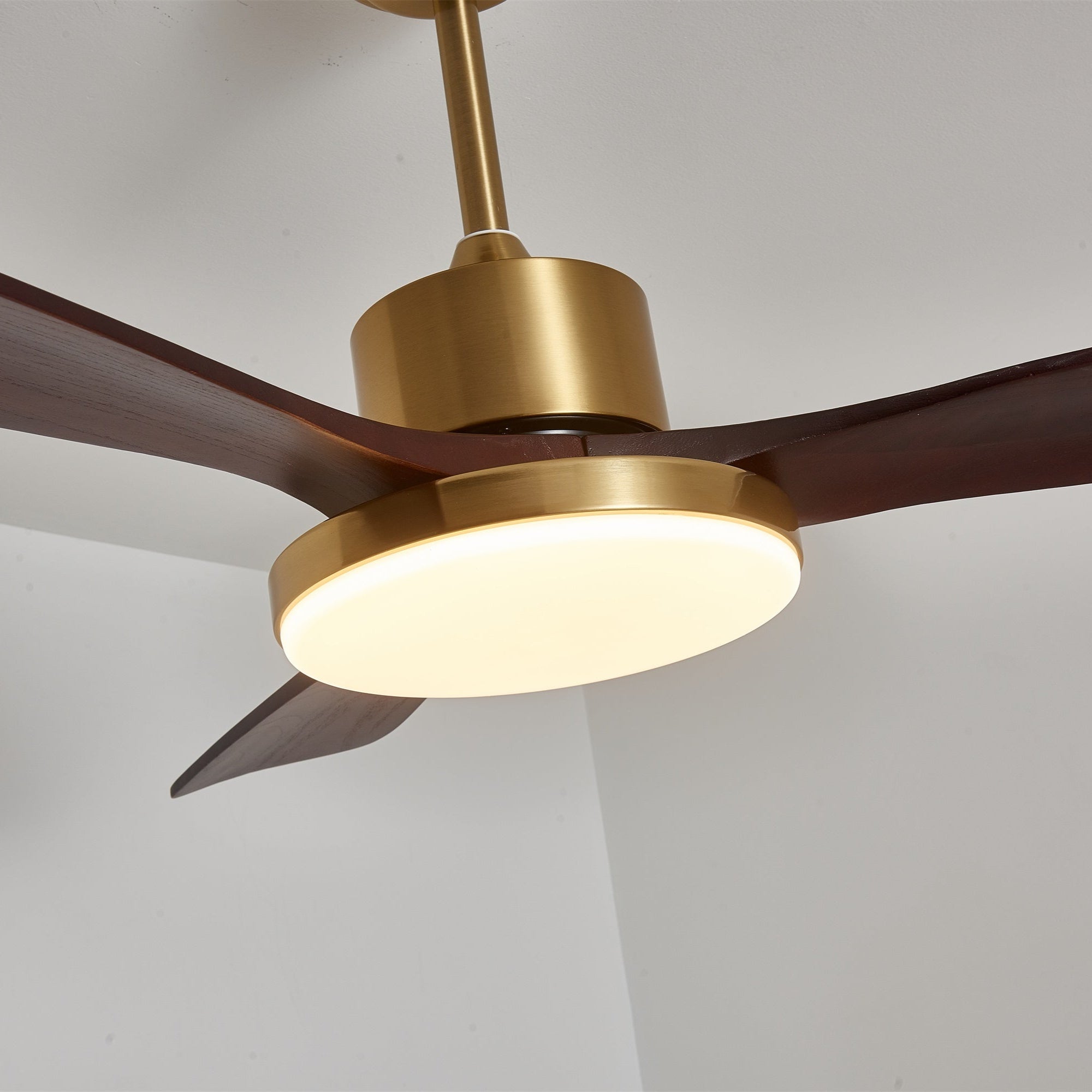 Xen Modern Wood Ceiling Fan Light
