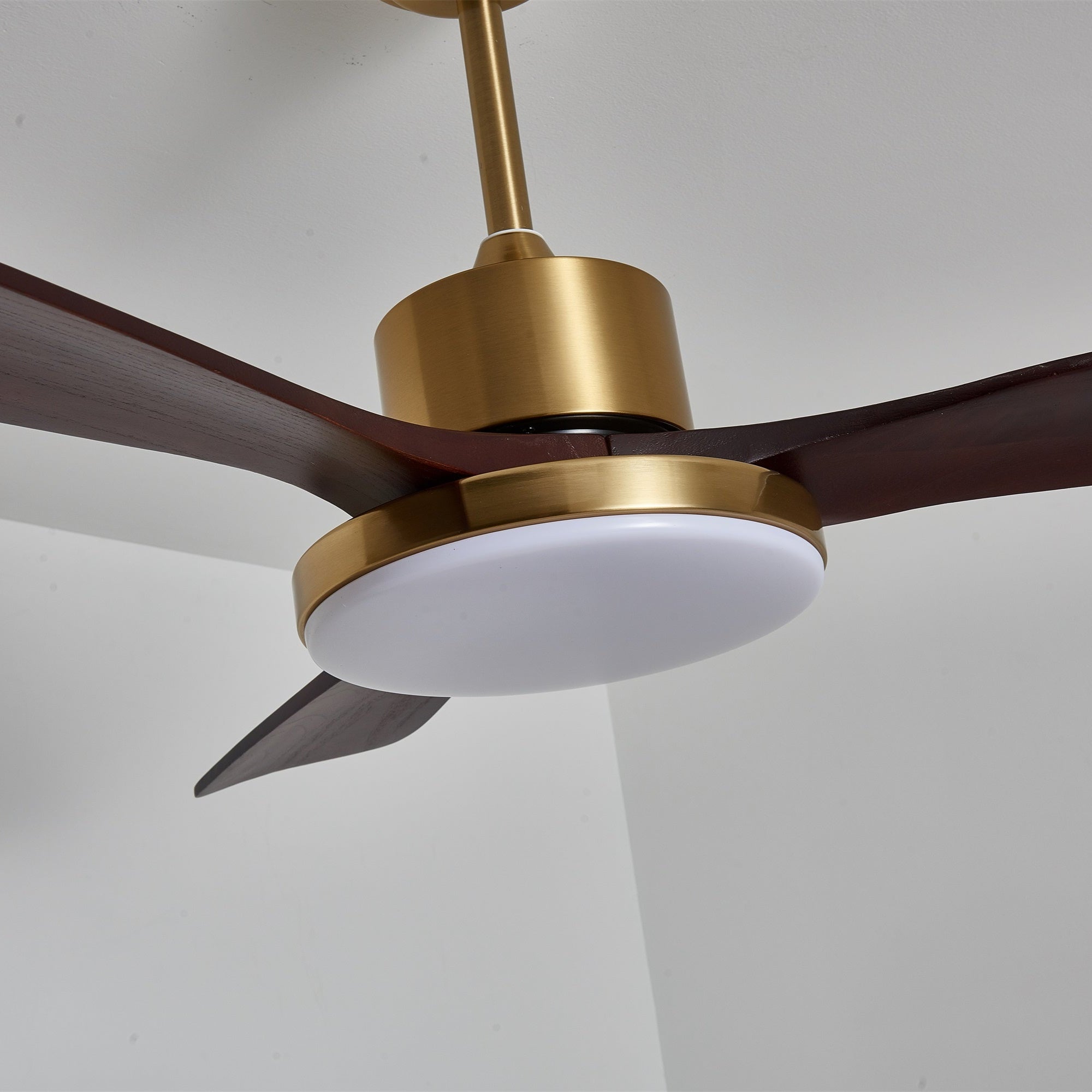 Xen Modern Wood Ceiling Fan Light