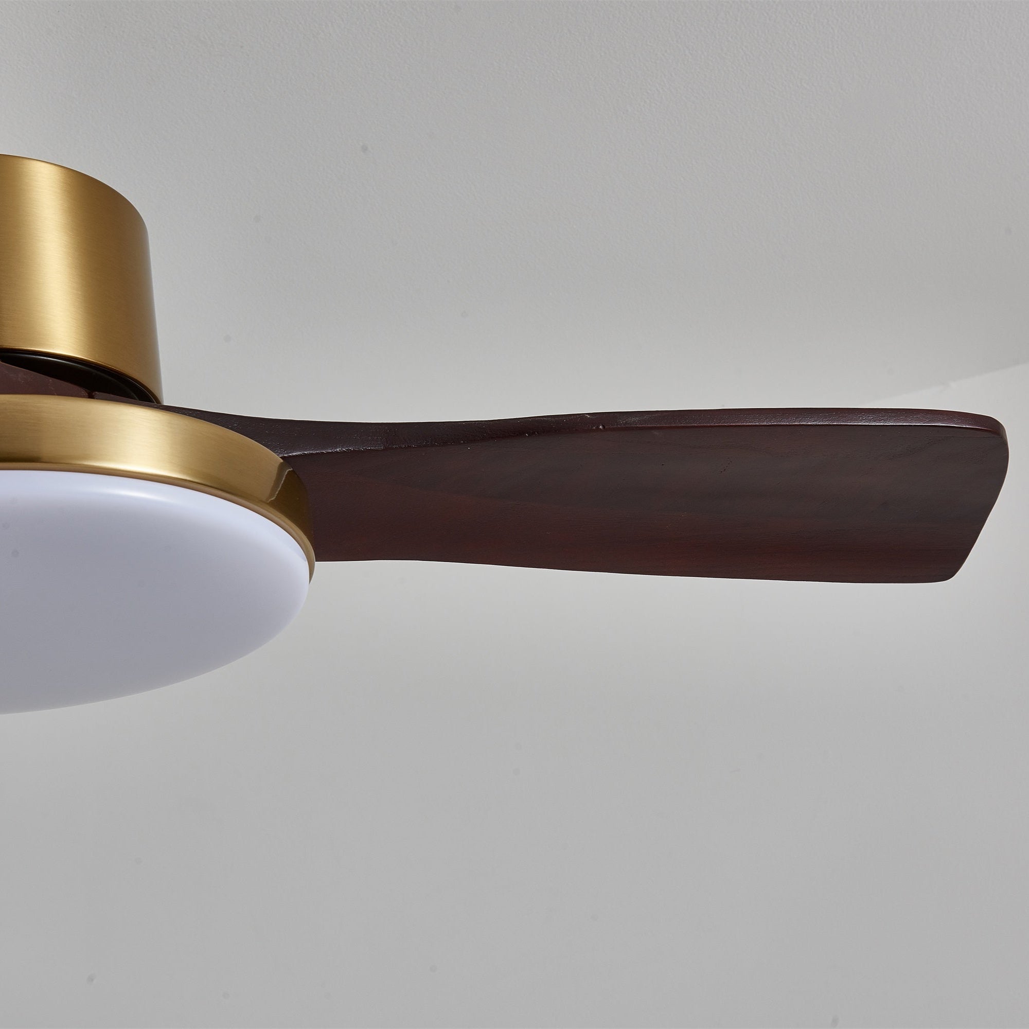 Xen Modern Wood Ceiling Fan Light
