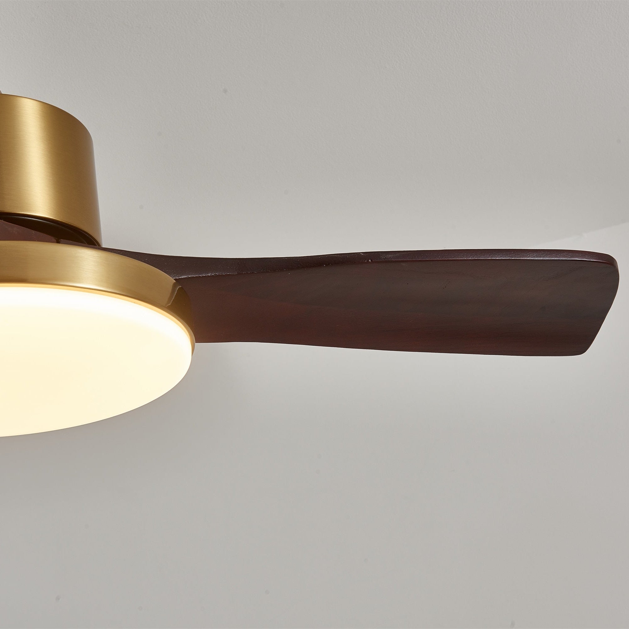 Xen Modern Wood Ceiling Fan Light