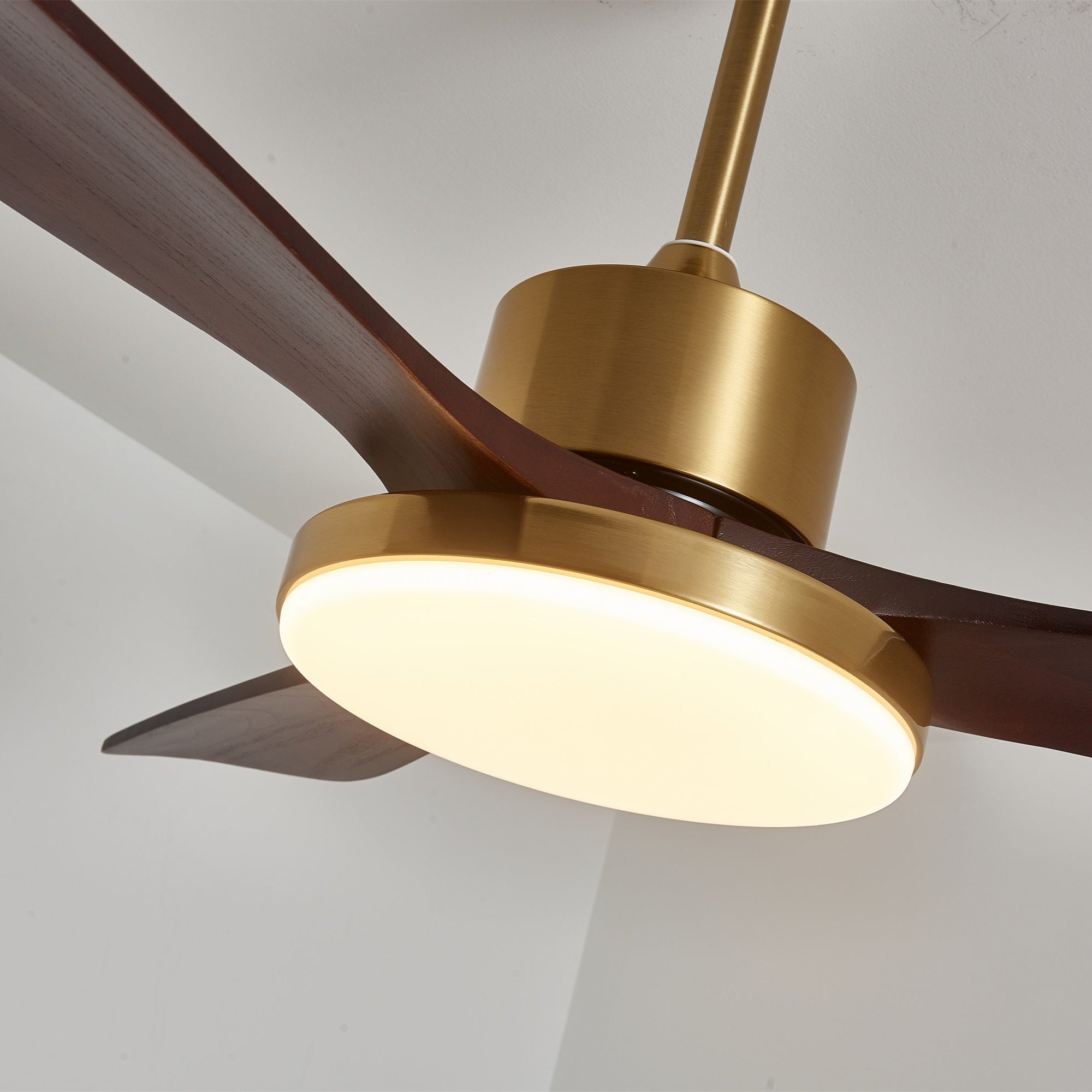 Xen Modern Wood Ceiling Fan Light