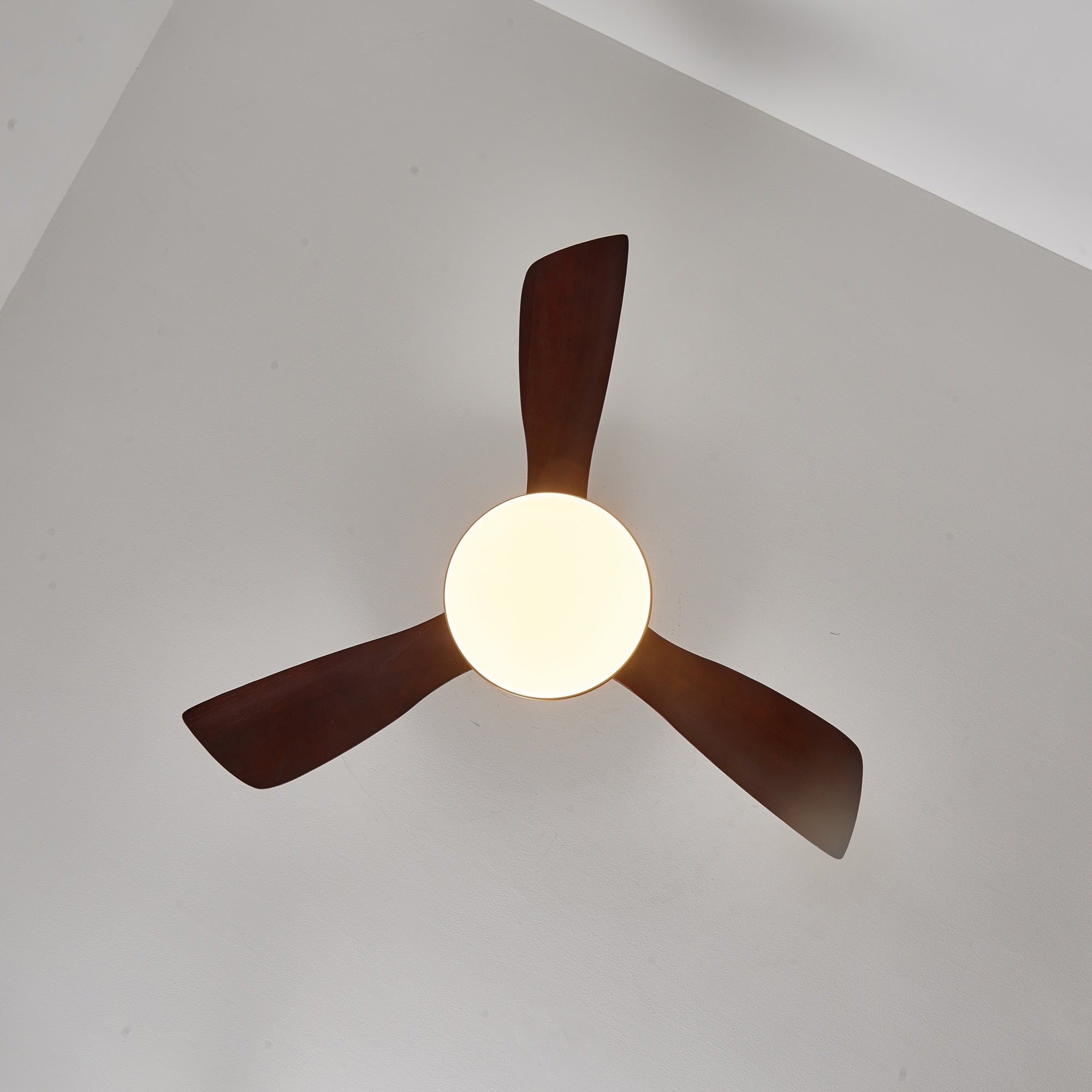 Xen Modern Wood Ceiling Fan Light