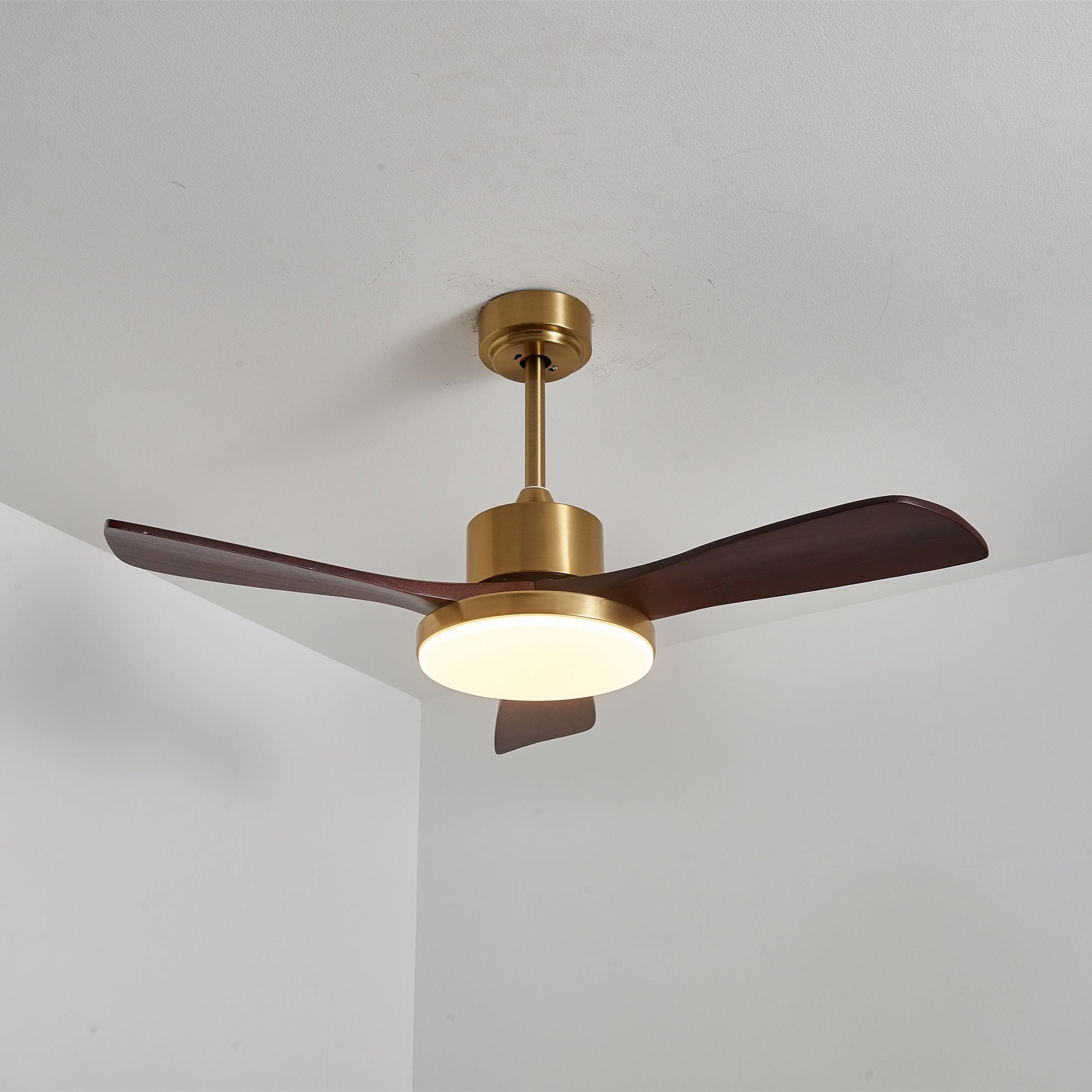 Xen Modern Wood Ceiling Fan Light