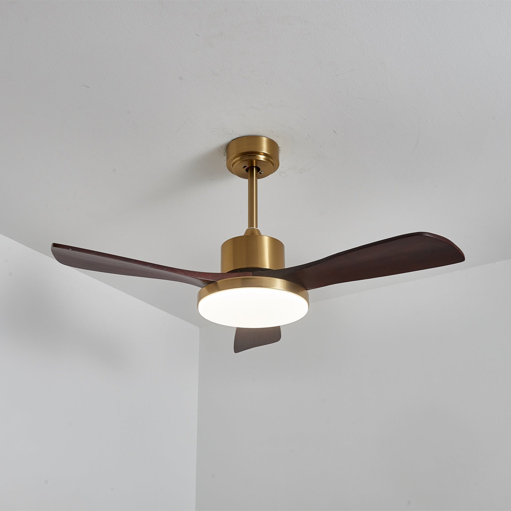 Xen Modern Wood Ceiling Fan Light