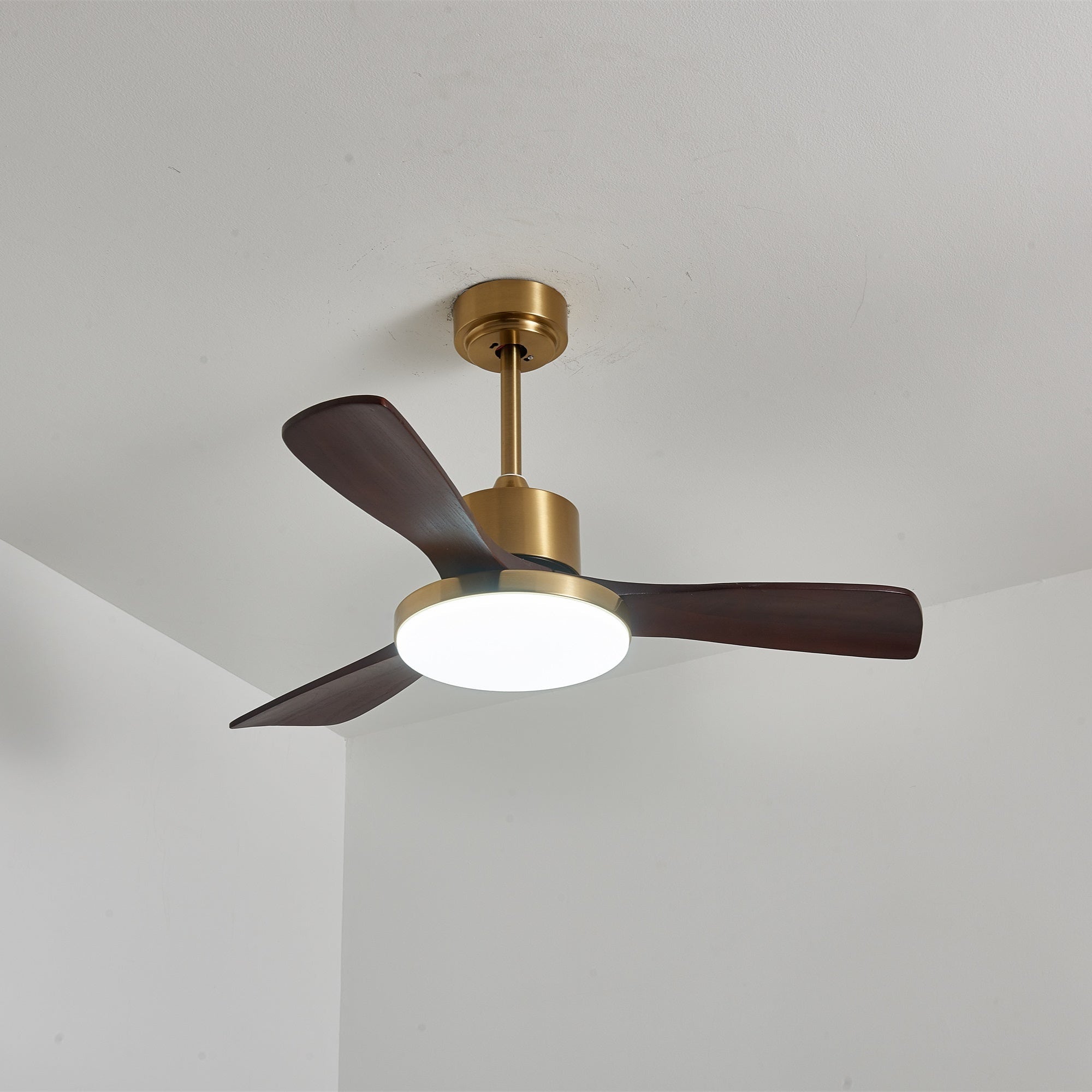 Xen Modern Wood Ceiling Fan Light
