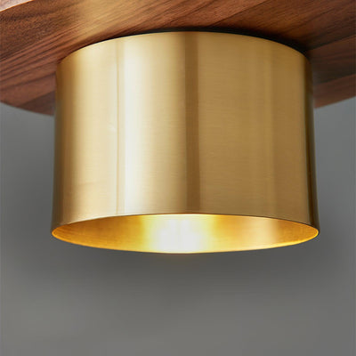 Auririra Industrial Brass Pendant Light