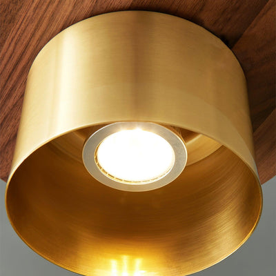 Auririra Industrial Brass Pendant Light
