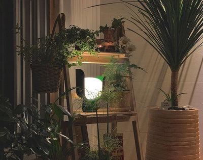 Zuri Plastic Minimalist Table Lamp