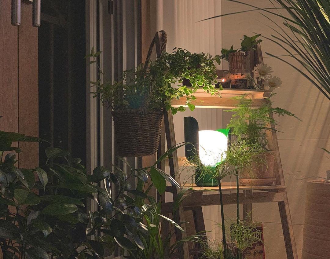 Zuri Plastic Minimalist Table Lamp