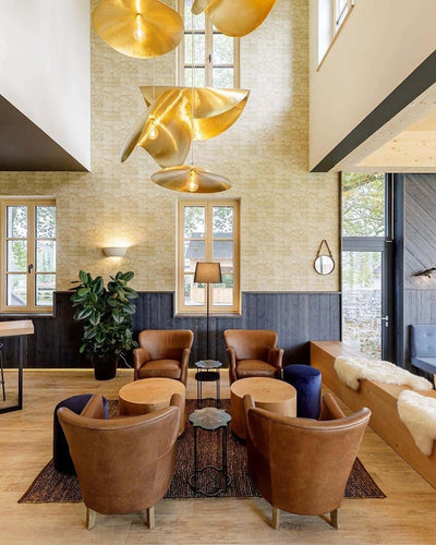 Dovenn Minimalist Pendant Light