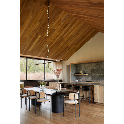 Rivoian Chandelier