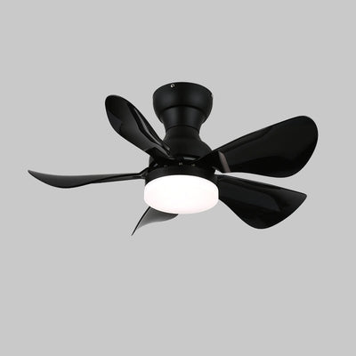 Elvanelle Wood Ceiling Fan Light