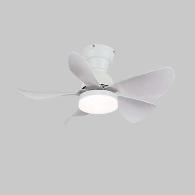 Elvanelle Wood Ceiling Fan Light