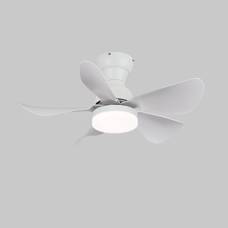 Elvanelle Wood Ceiling Fan Light