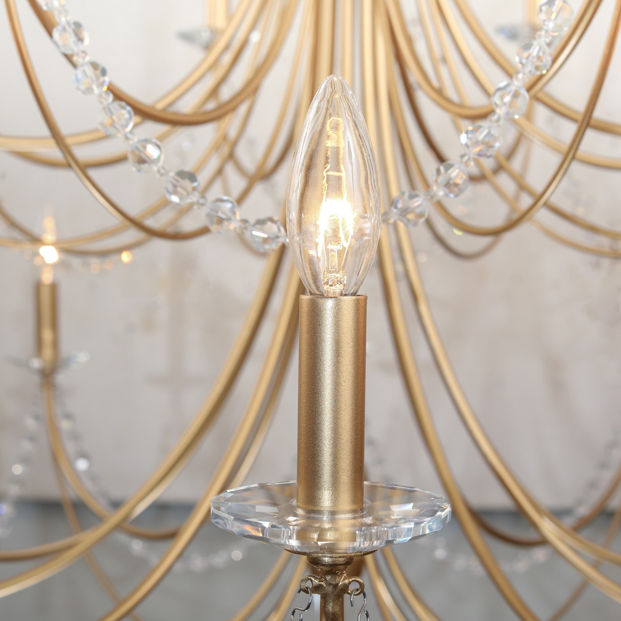 Lioreira Chandelier