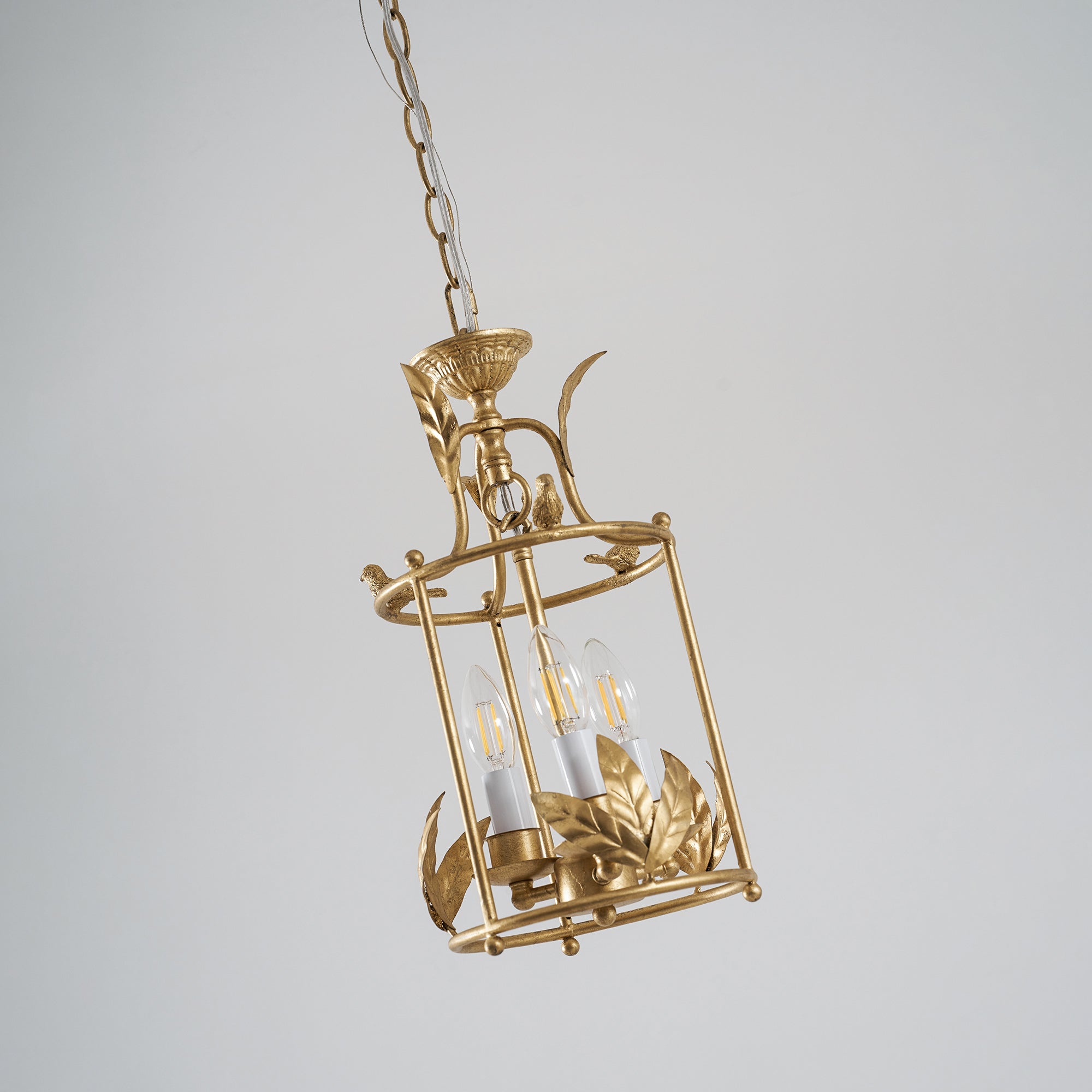 Fioraborne Lantern Pendant Light
