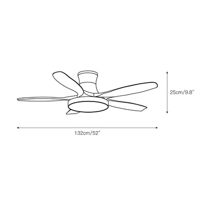 Teriinena Ceiling Fan Light